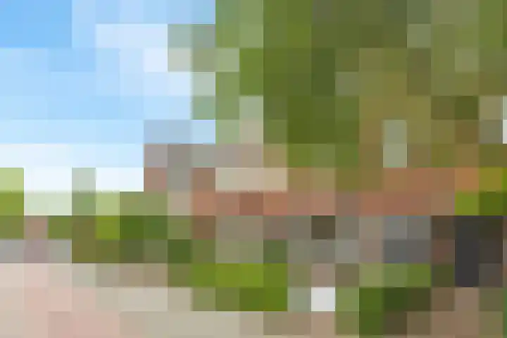 Terheijdenseweg 110 Breda thumbnail 38