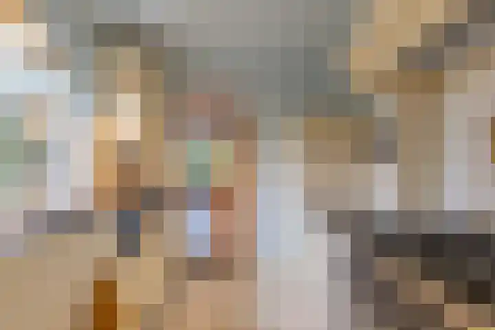 Terheijdenseweg 227 Breda thumbnail 12