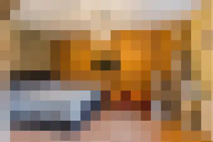 Terheijdenseweg 227 Breda thumbnail 24
