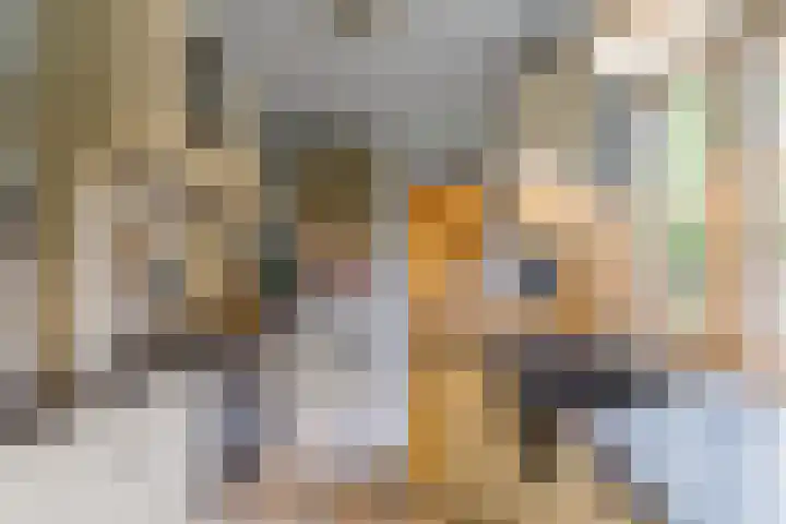Terheijdenseweg 227 Breda thumbnail 4