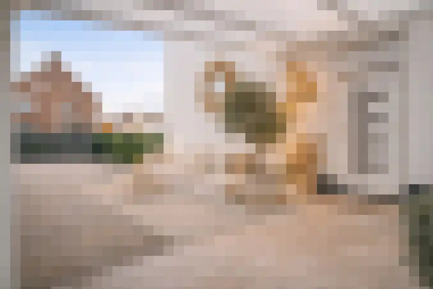 Terheijdenseweg 90 Breda thumbnail 34