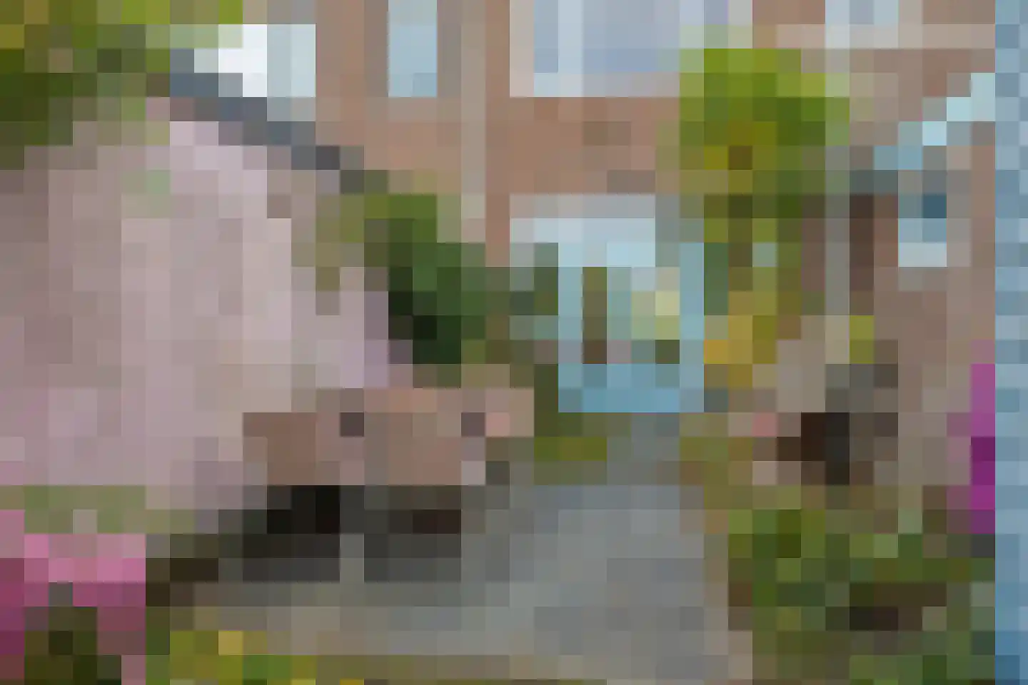 Terheijdenseweg 90 Breda thumbnail 37