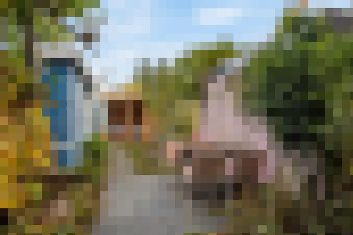 Terheijdenseweg 90 Breda thumbnail 5