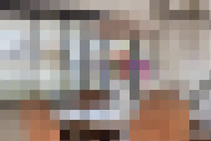 Terloo 13 Oss thumbnail 10