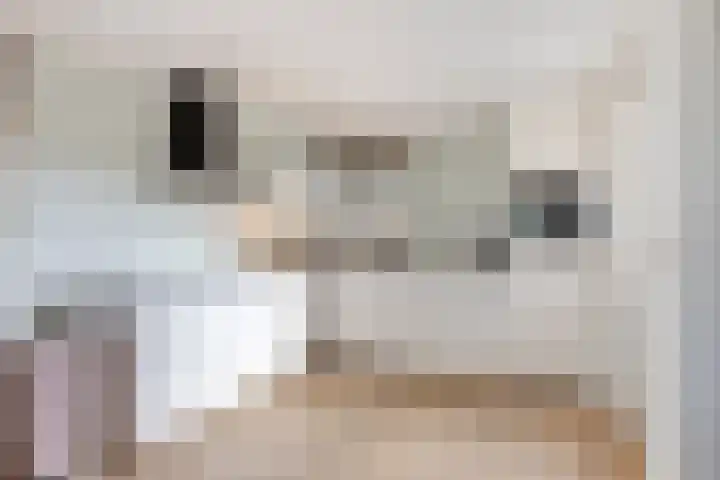 Terloo 13 Oss thumbnail 12