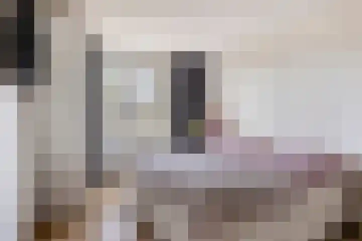 Terloo 13 Oss thumbnail 15