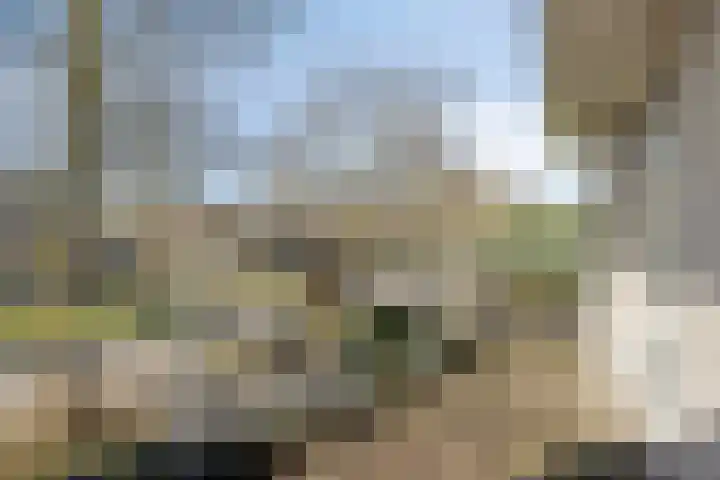 Terloo 13 Oss thumbnail 16