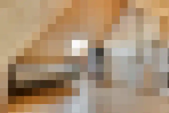 Terloo 13 Oss thumbnail 21