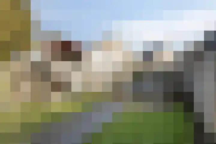 Terloo 13 Oss thumbnail 23