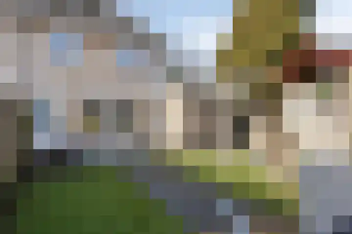 Terloo 13 Oss thumbnail 24