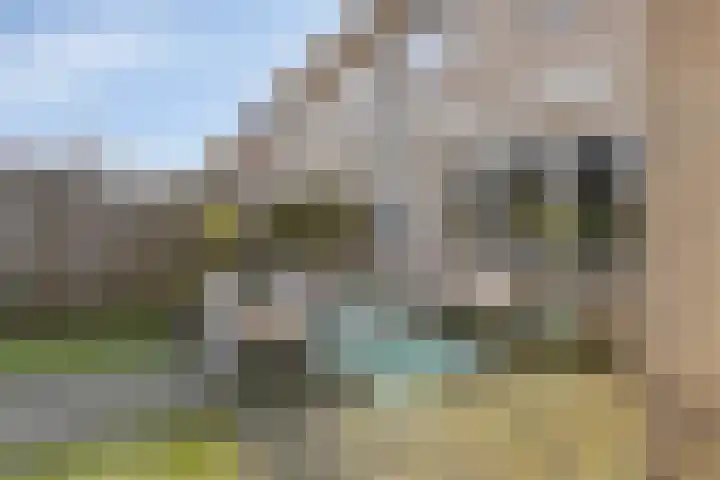 Terloo 13 Oss thumbnail 25