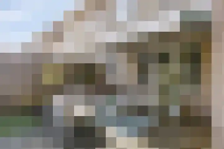 Terloo 13 Oss thumbnail 26