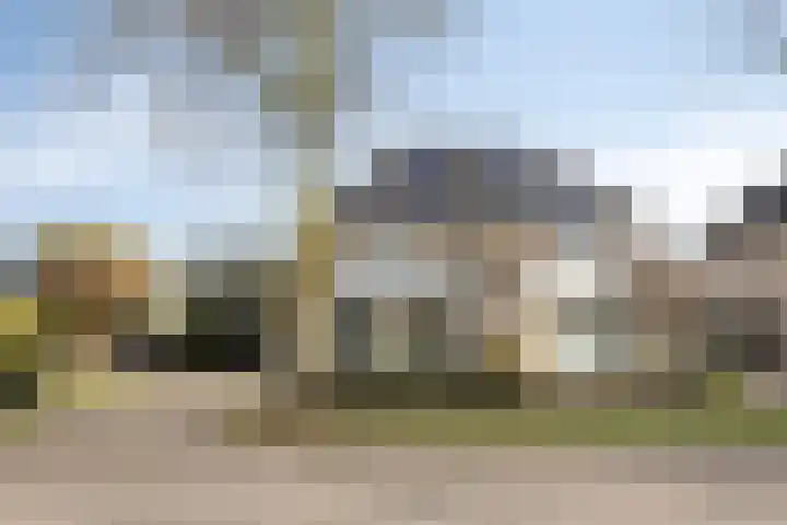 Terloo 13 Oss thumbnail 29