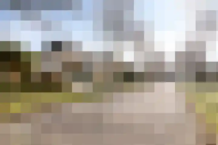 Terloo 13 Oss thumbnail 30