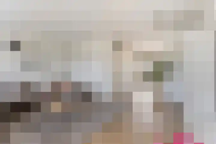 Terloo 13 Oss thumbnail 4