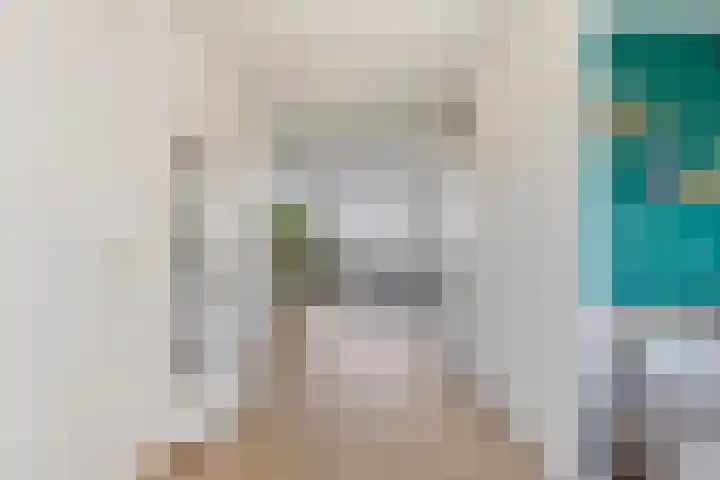 Terloo 13 Oss thumbnail 5