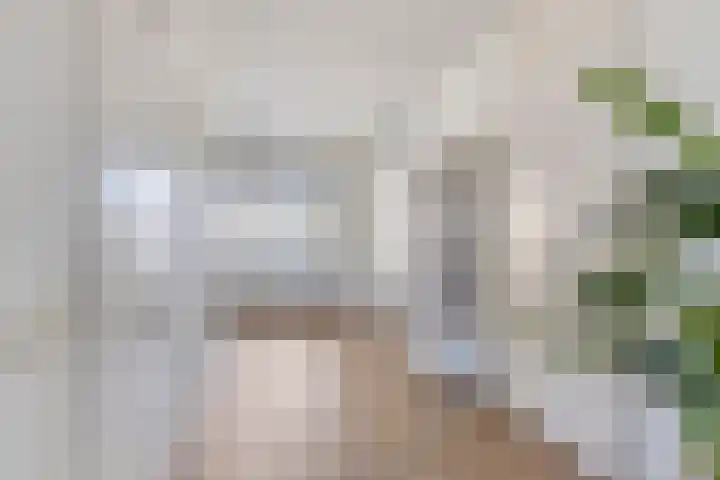 Terloo 13 Oss thumbnail 6