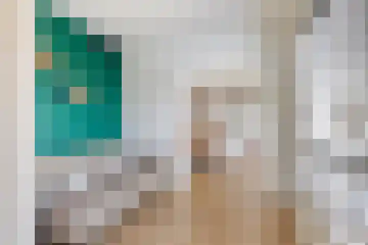 Terloo 13 Oss thumbnail 7