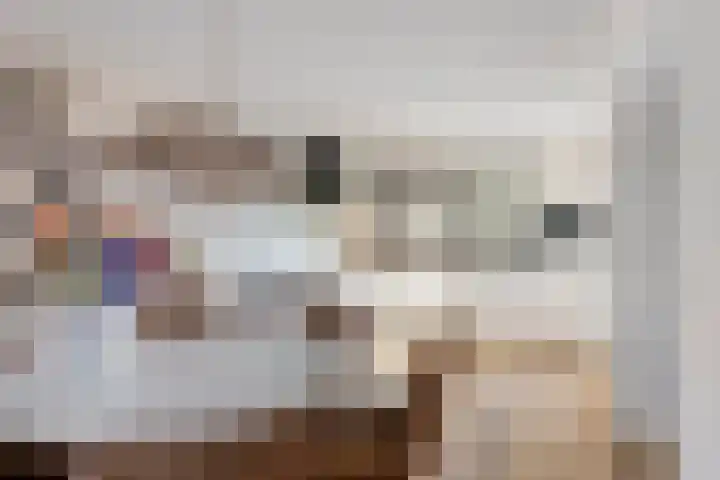 Terloo 13 Oss thumbnail 8