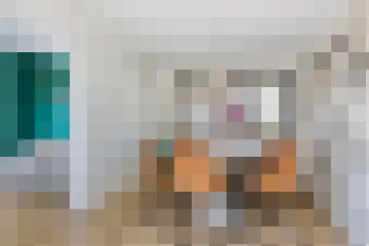 Terloo 13 Oss thumbnail 9