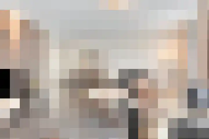 Terloo 49 Oss thumbnail 12