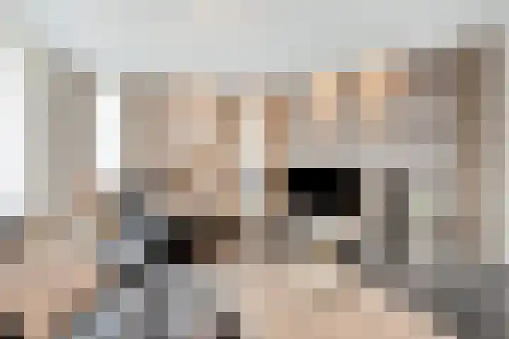 Terloo 49 Oss thumbnail 13