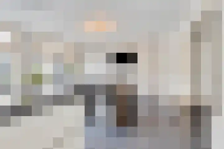Terloo 49 Oss thumbnail 15