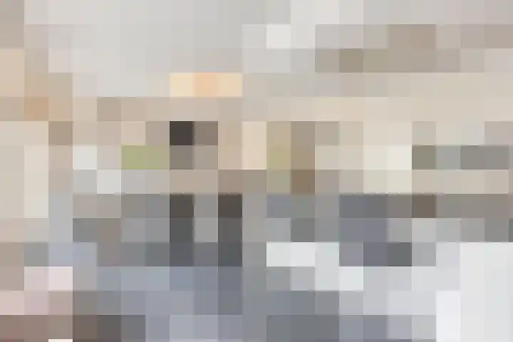 Terloo 49 Oss thumbnail 18