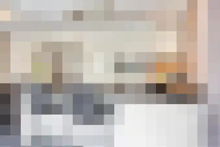 Terloo 49 Oss thumbnail 19
