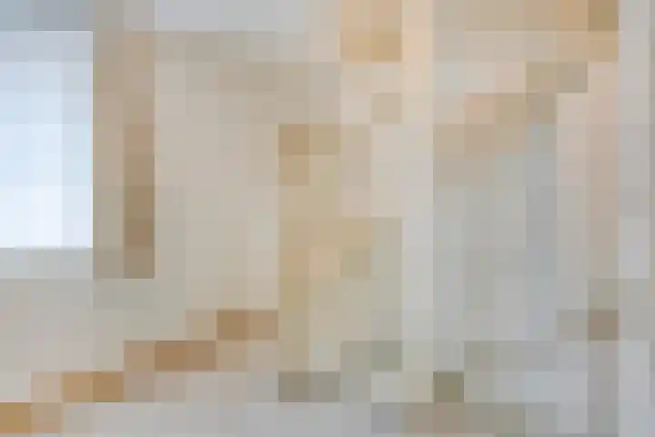 Terloo 49 Oss thumbnail 24