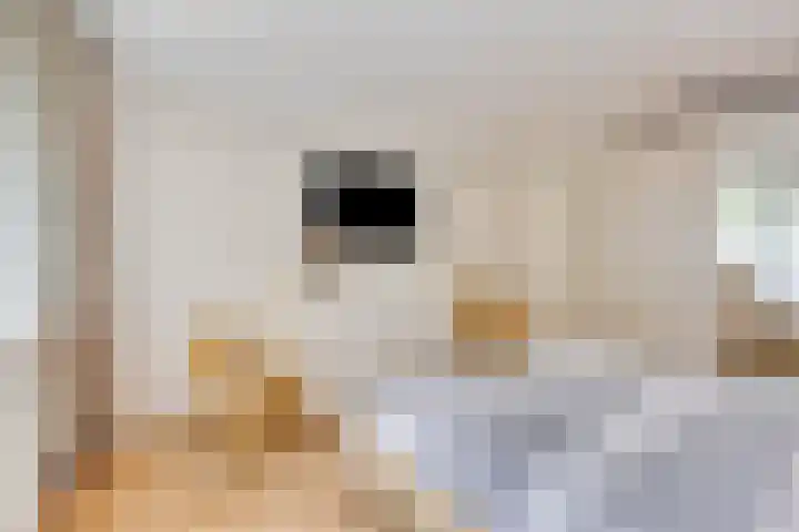 Terloo 49 Oss thumbnail 26