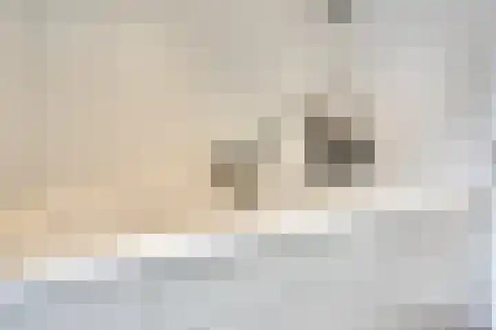 Terloo 49 Oss thumbnail 29