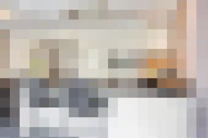 Terloo 49 Oss foto 3