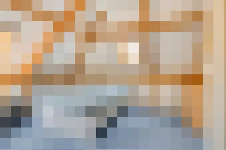 Terloo 49 Oss thumbnail 32