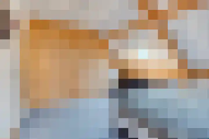 Terloo 49 Oss thumbnail 33