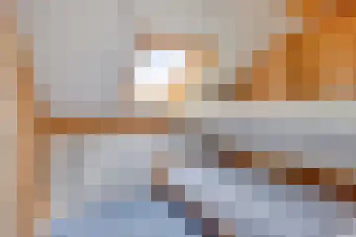 Terloo 49 Oss thumbnail 34