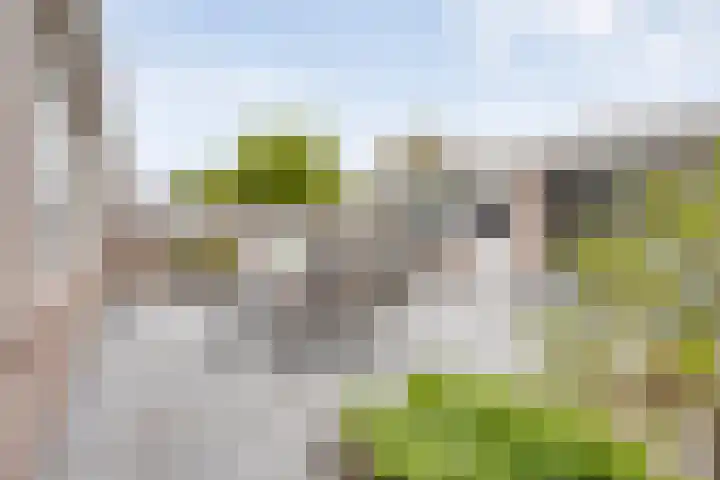 Terloo 49 Oss thumbnail 36