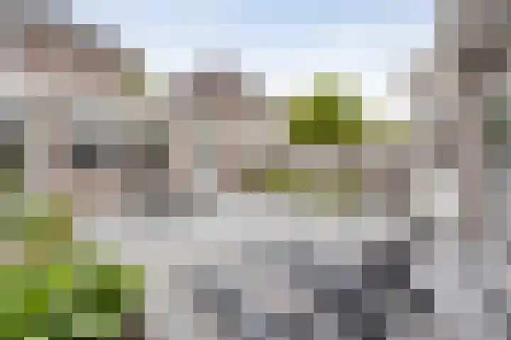 Terloo 49 Oss thumbnail 37