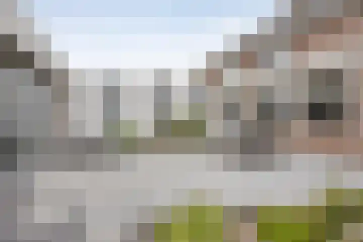 Terloo 49 Oss thumbnail 38