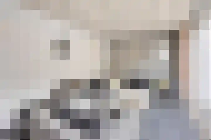 Terloo 49 Oss thumbnail 39