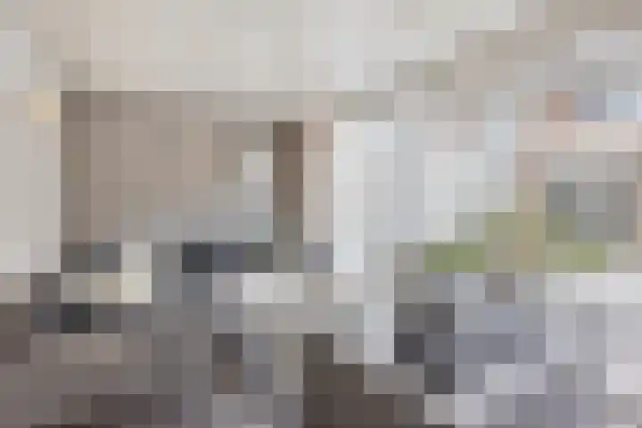 Terloo 49 Oss thumbnail 40