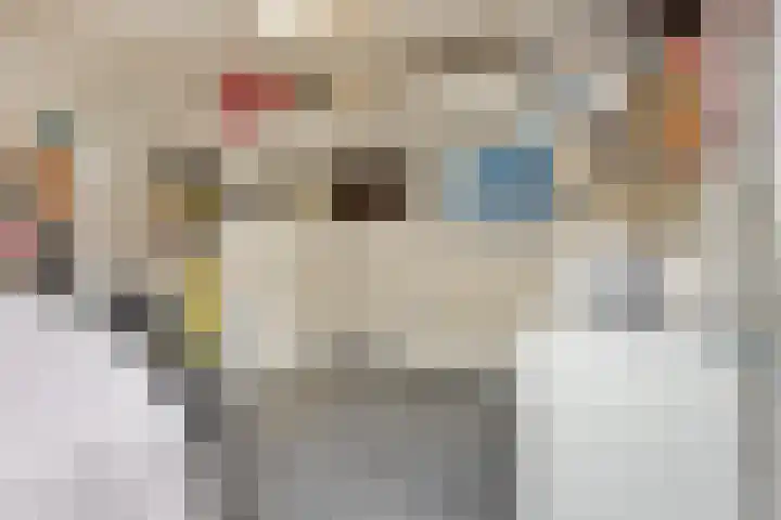 Terloo 49 Oss thumbnail 41