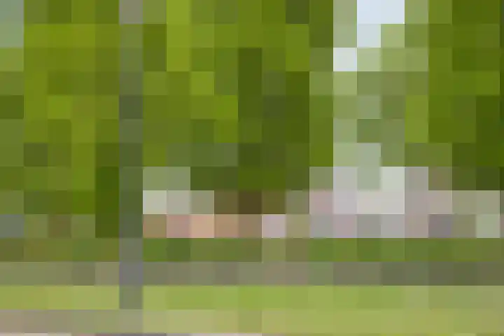 Terloo 49 Oss thumbnail 42