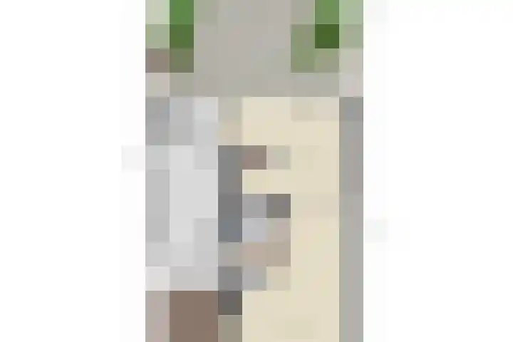 Terloo 49 Oss thumbnail 43