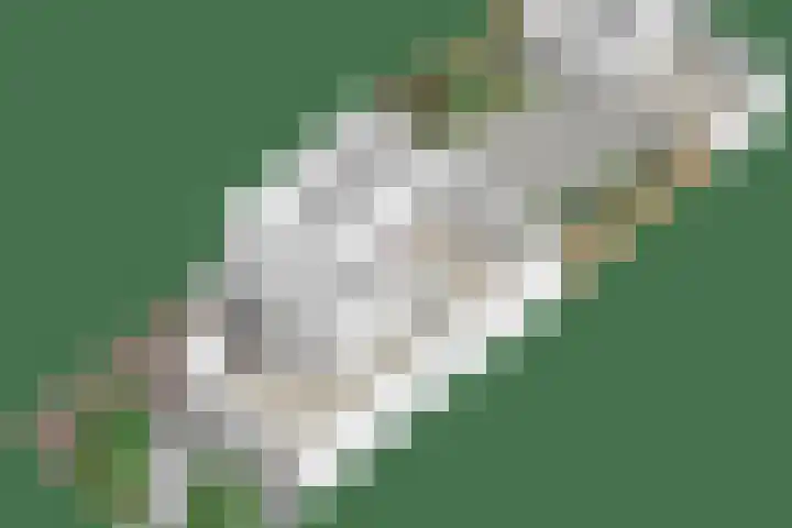 Terloo 49 Oss thumbnail 44