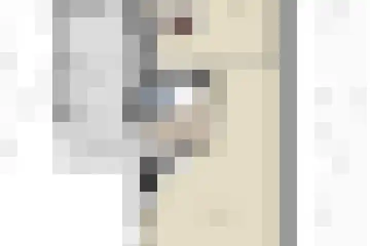 Terloo 49 Oss thumbnail 45