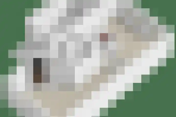 Terloo 49 Oss thumbnail 46