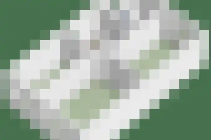 Terloo 49 Oss thumbnail 48