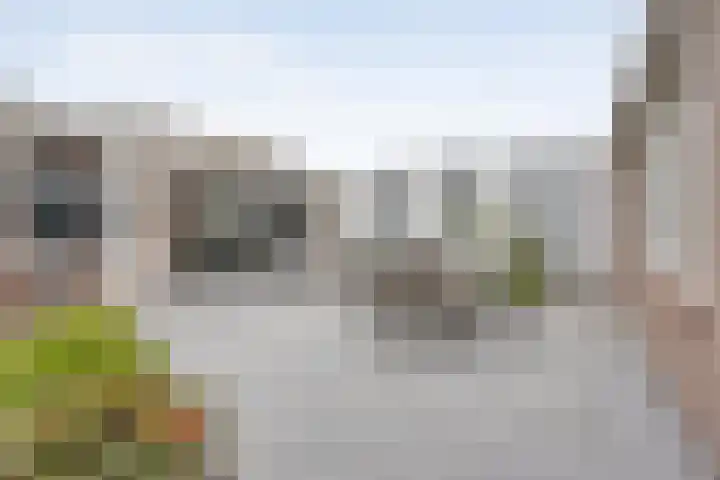 Terloo 49 Oss thumbnail 5