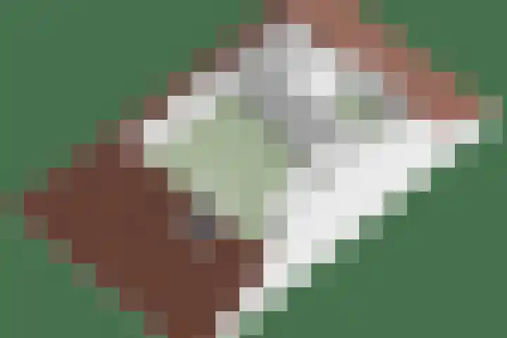 Terloo 49 Oss thumbnail 50